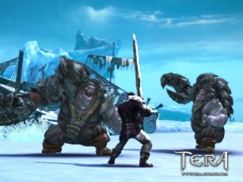 TERA - screenshot 5